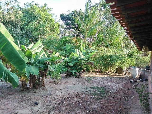 Sítio em Bacabeira - Foto 7