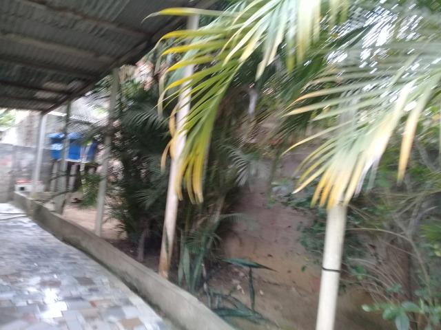 Pequeno sítio de 720 m2, todo plantado em Itambi - Foto 16