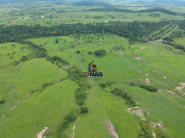 Fazenda à venda, por R$ 10.000.000 - Zona Rural - Presidente Médici/RO - Foto 13