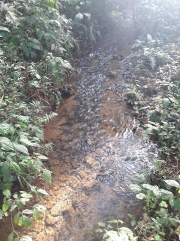 Chácara em tijucas do sul - Foto 4