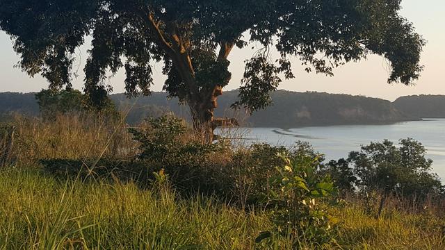 Terrenos em Maricá, perto da Lagoa e do Centro de Maricá!!! - Foto 2
