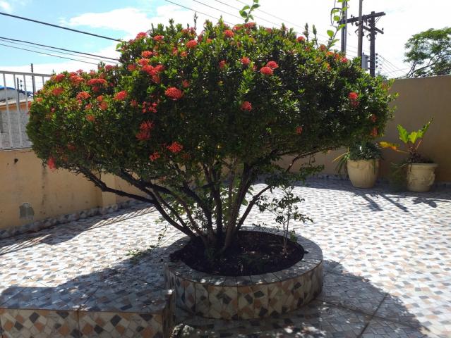 Casa no Japiim em Manaus - AM - Foto 4