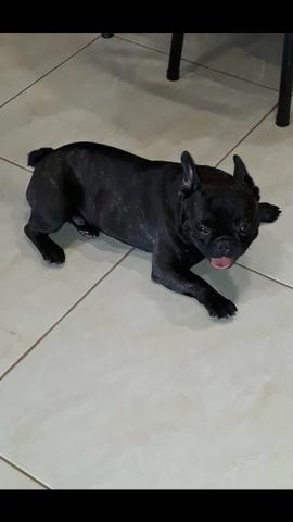 Procura namorada