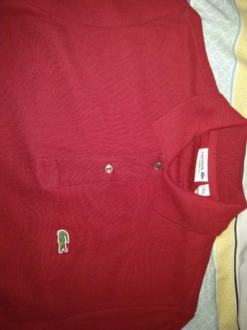 Polo Lacoste - Foto 2