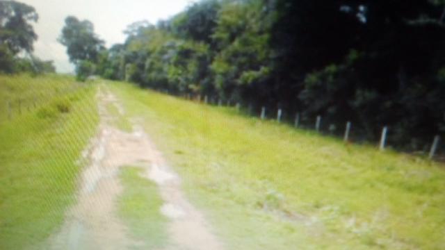 Fazenda 88 mil hectares de porteira fechada localizada na transpantaneira 220 km de Cuiabá - Foto 20