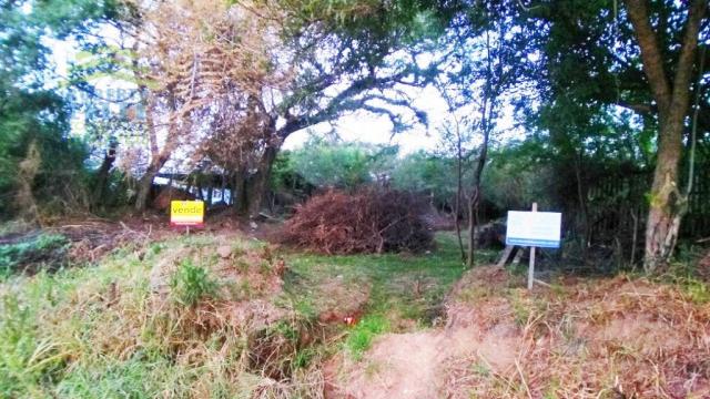 Terreno, Protásio Alves, Porto Alegre-RS - Foto 3