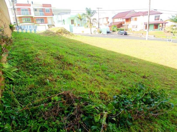 Terreno, Protásio Alves, Porto Alegre-RS - Foto 4