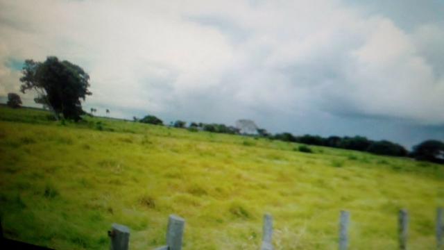 Fazenda 88 mil hectares de porteira fechada localizada na transpantaneira 220 km de Cuiabá - Foto 8