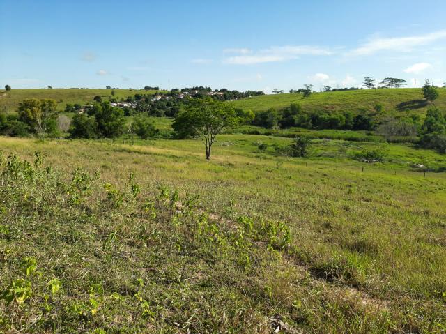 Vendo + de 4 alqueires - Foto 4