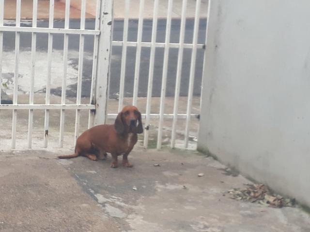 Procuro namorada - Foto 5