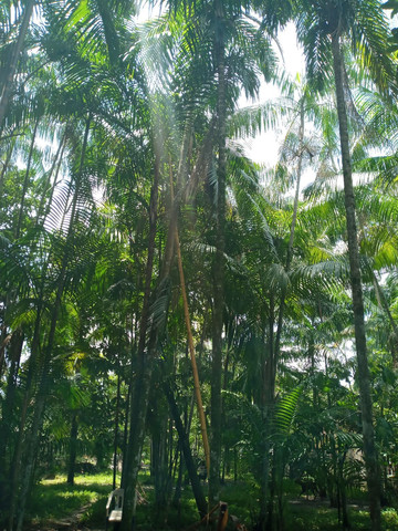 Vende se esta linda casa em murinim