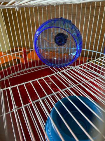 Gaiola para hamster - Foto 3