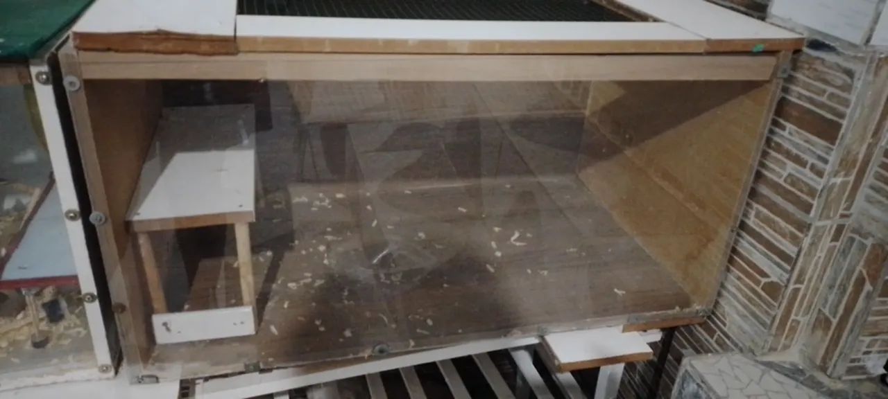 Gaiola para roedores ( terrario ) 120.00 com 1 hamster  - Foto 2