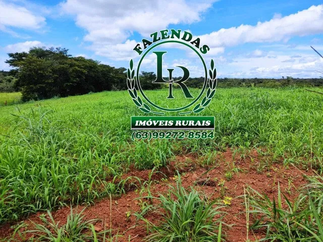 Fazenda 56 Alqueires Paraiso Tocantins
