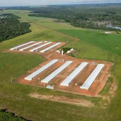Graja de frango em Lucas do rio verde MT. 90 hect. 8 barracões 15 milhões