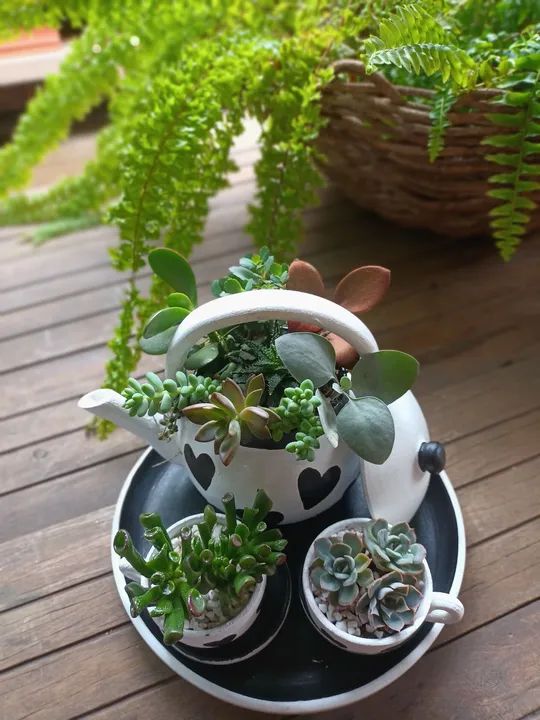 Conjunto de Vasos de Planta em Formato de Chá - Foto 3