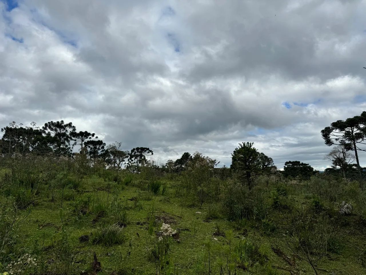 Sitio em Urubici/ Chácara em Urubici - Foto 2