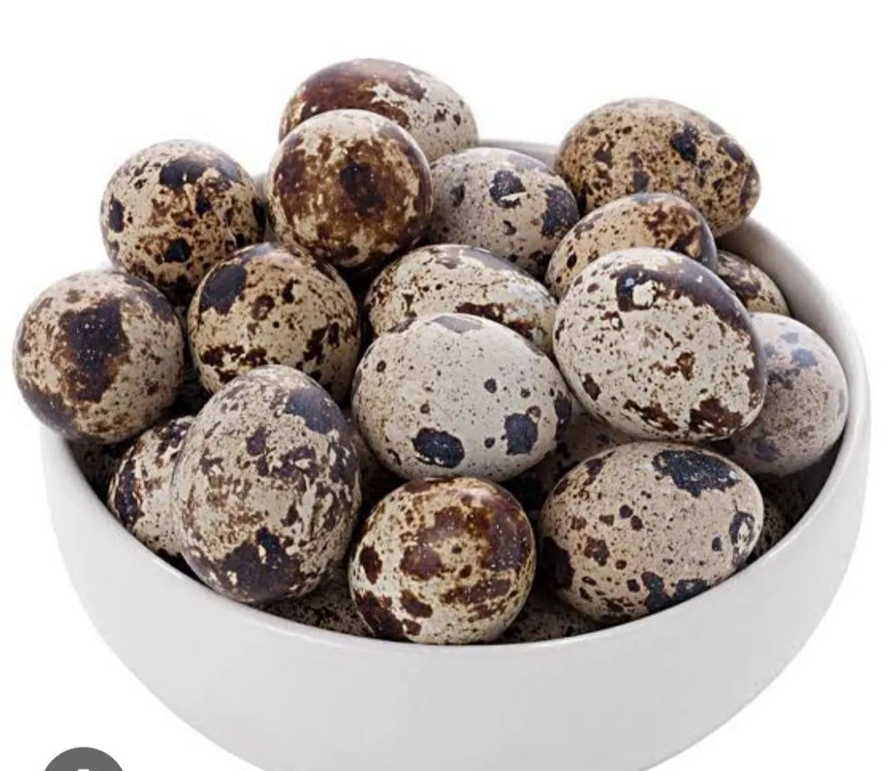 Ovos de codorna frescos e saborosos