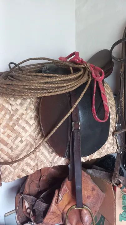 Eguas quarto de milha e manga larga *) - Foto 6