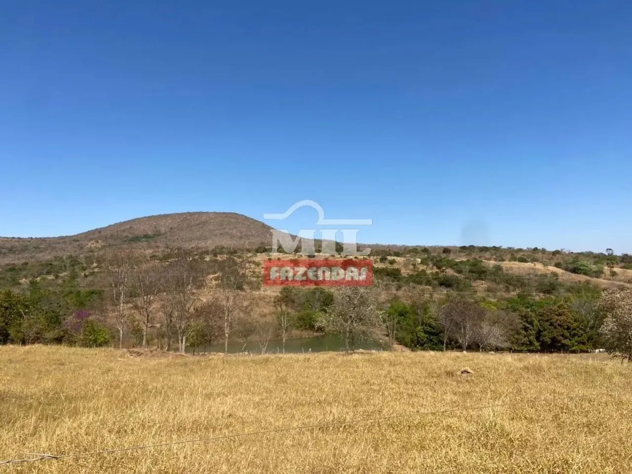 Fazenda 15 Alqueires (72,6 Hectares) Pirenopolis - GO - Foto 5