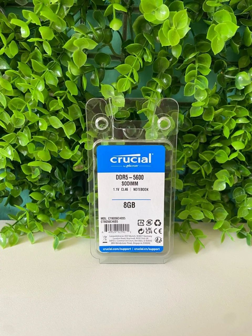 Crucial DDR5 RAM Memory, 8GB Capacity, 5600MHz for Notebook