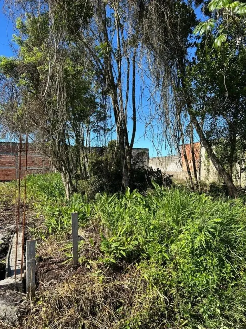 Terreno para Venda em Itanhaém, Luizamar Mirim