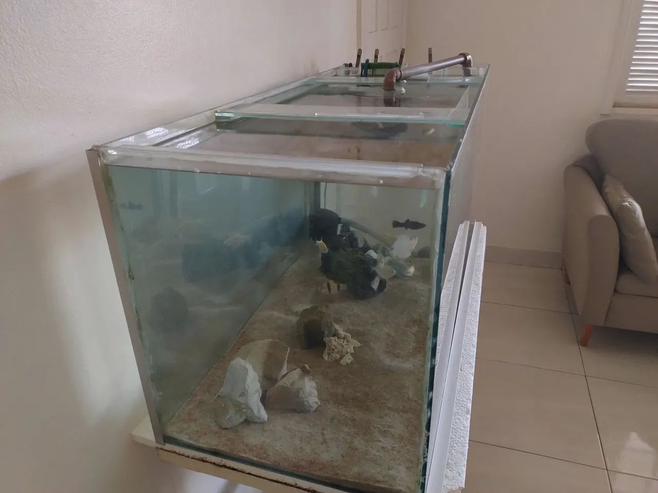 Aquário de Vidro 45 Litros