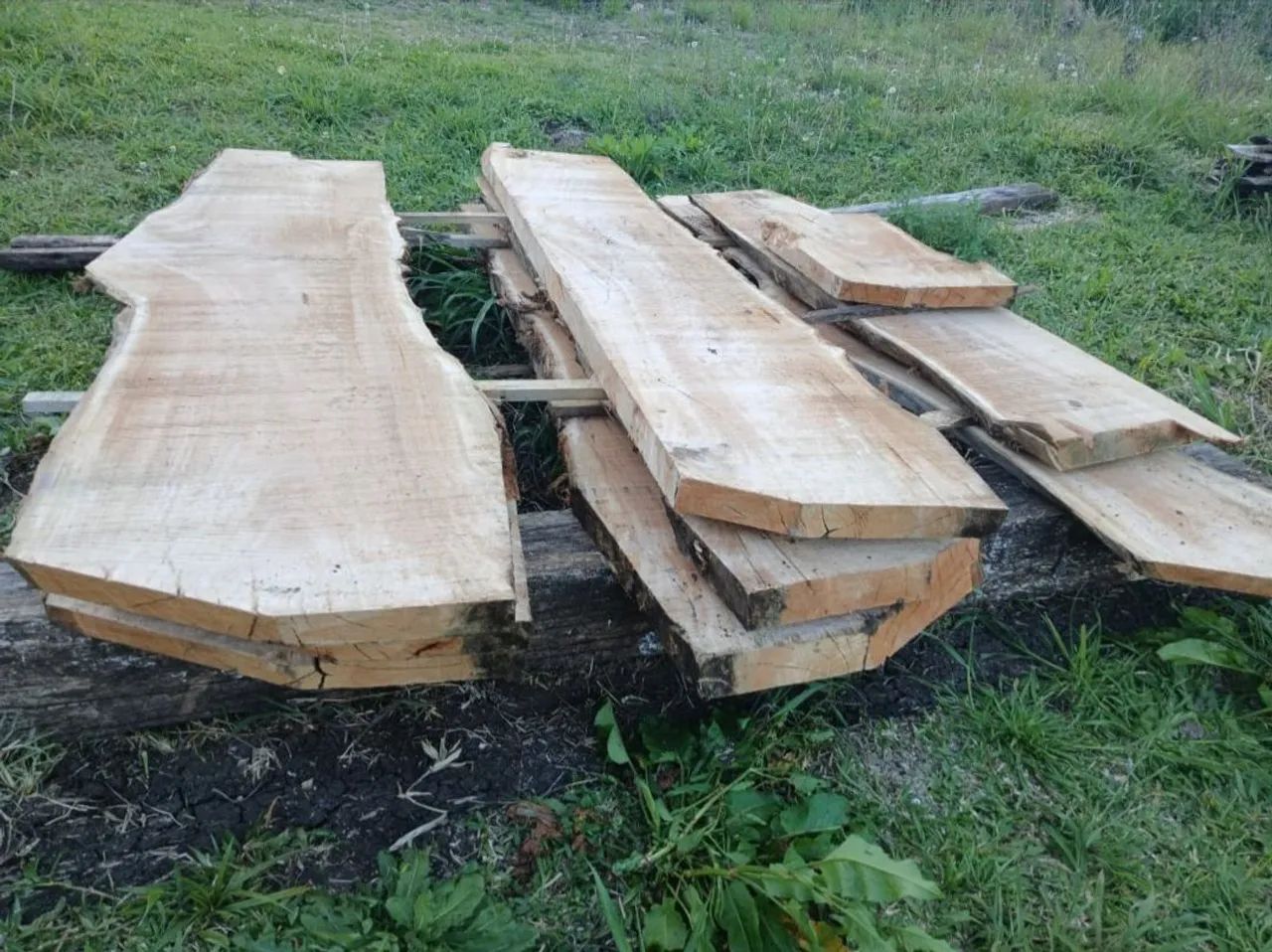 PALANQUES DE EUCALIPTO E ESCORAS. - Foto 6