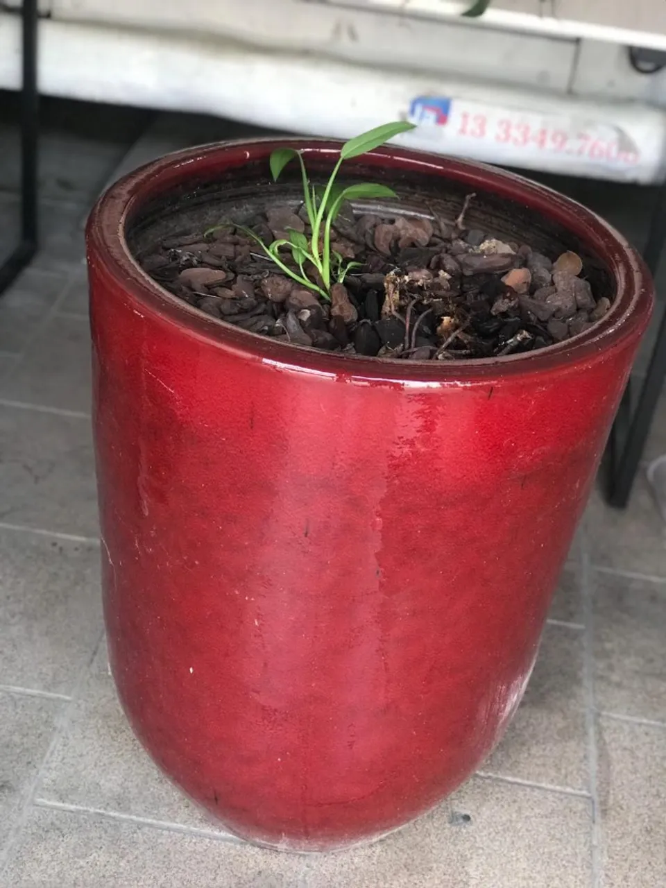 Vende-se vaso ornamental