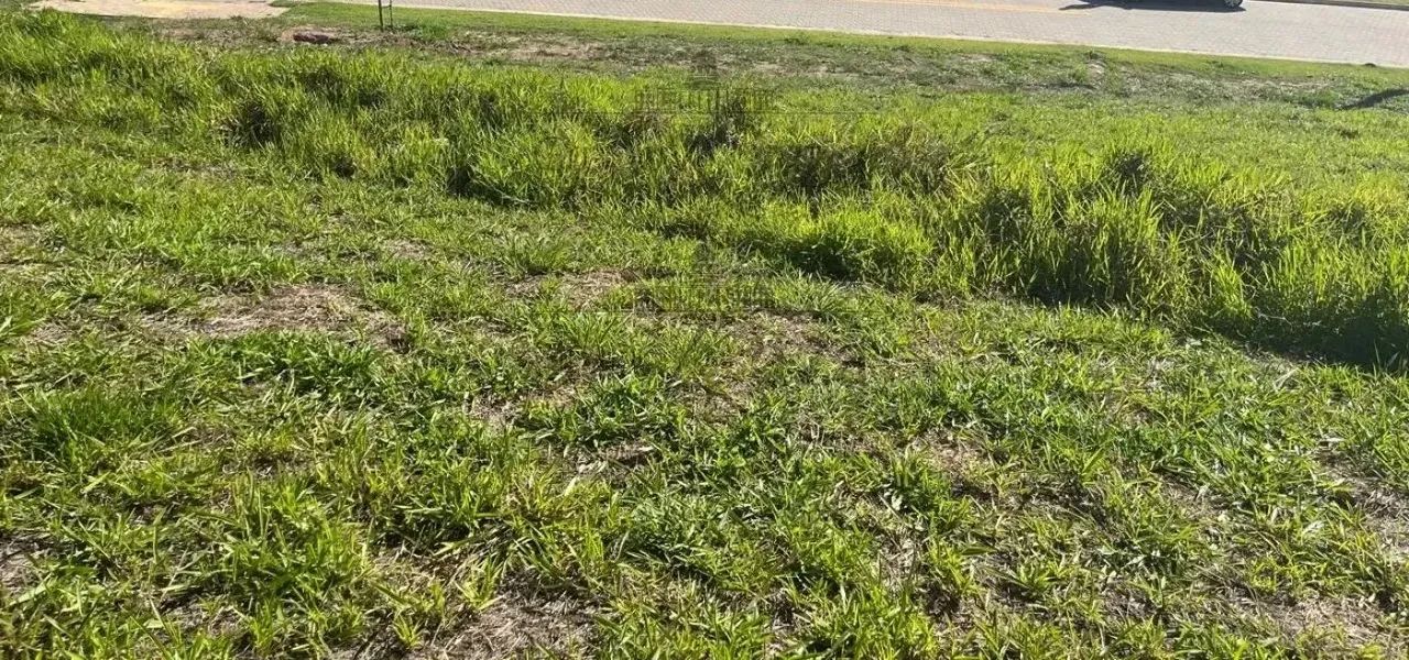 Terreno Aclive em Condomínio - Condomínio Terras Alpha - Urbanova - 330m².