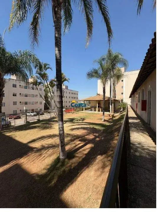 Foto - Betim - Amazonas