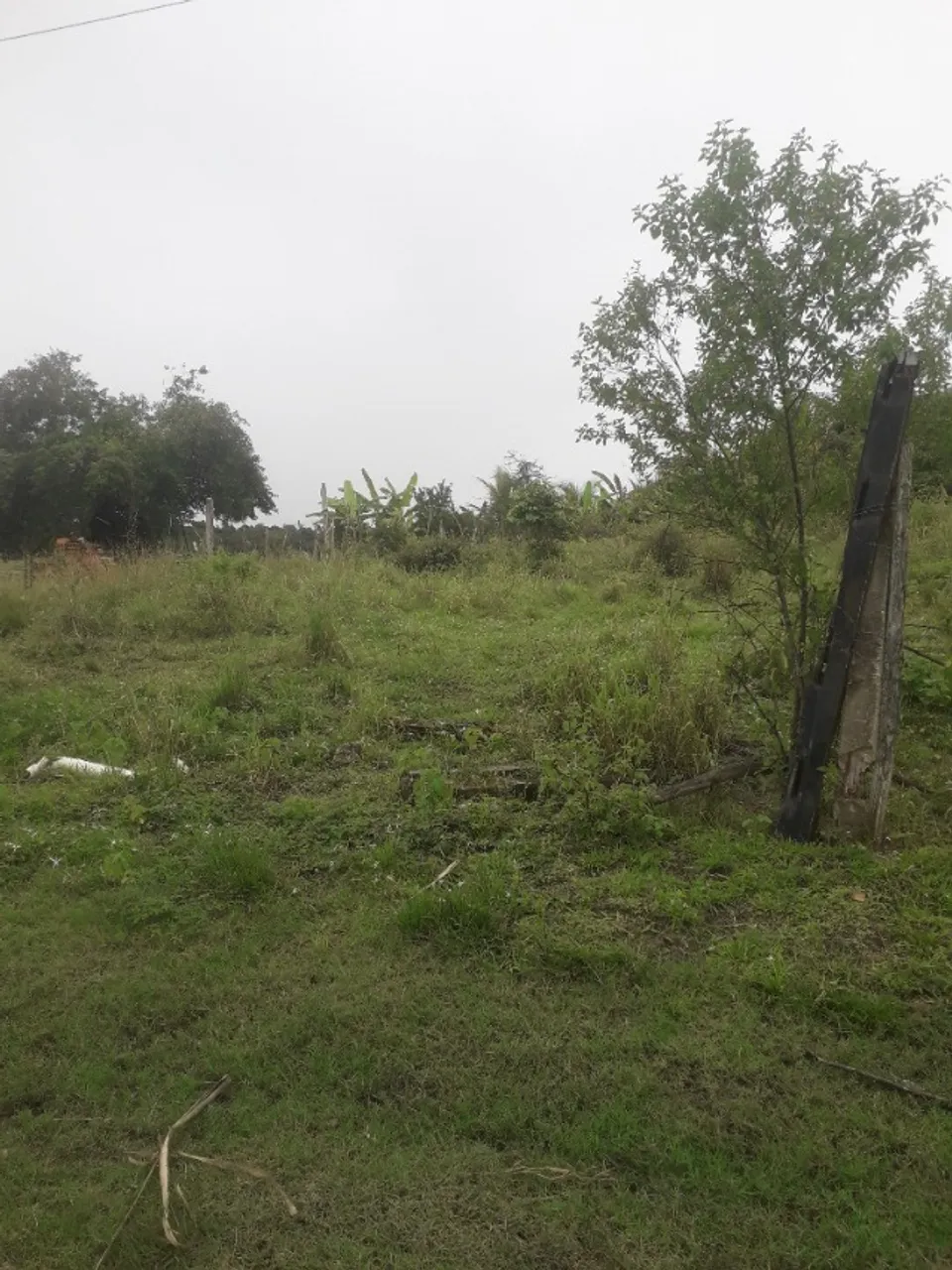Terreno