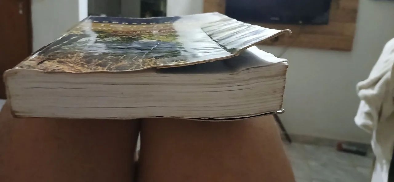 Teologia do Novo Testamento - Leonhard Goppelt - Foto 2