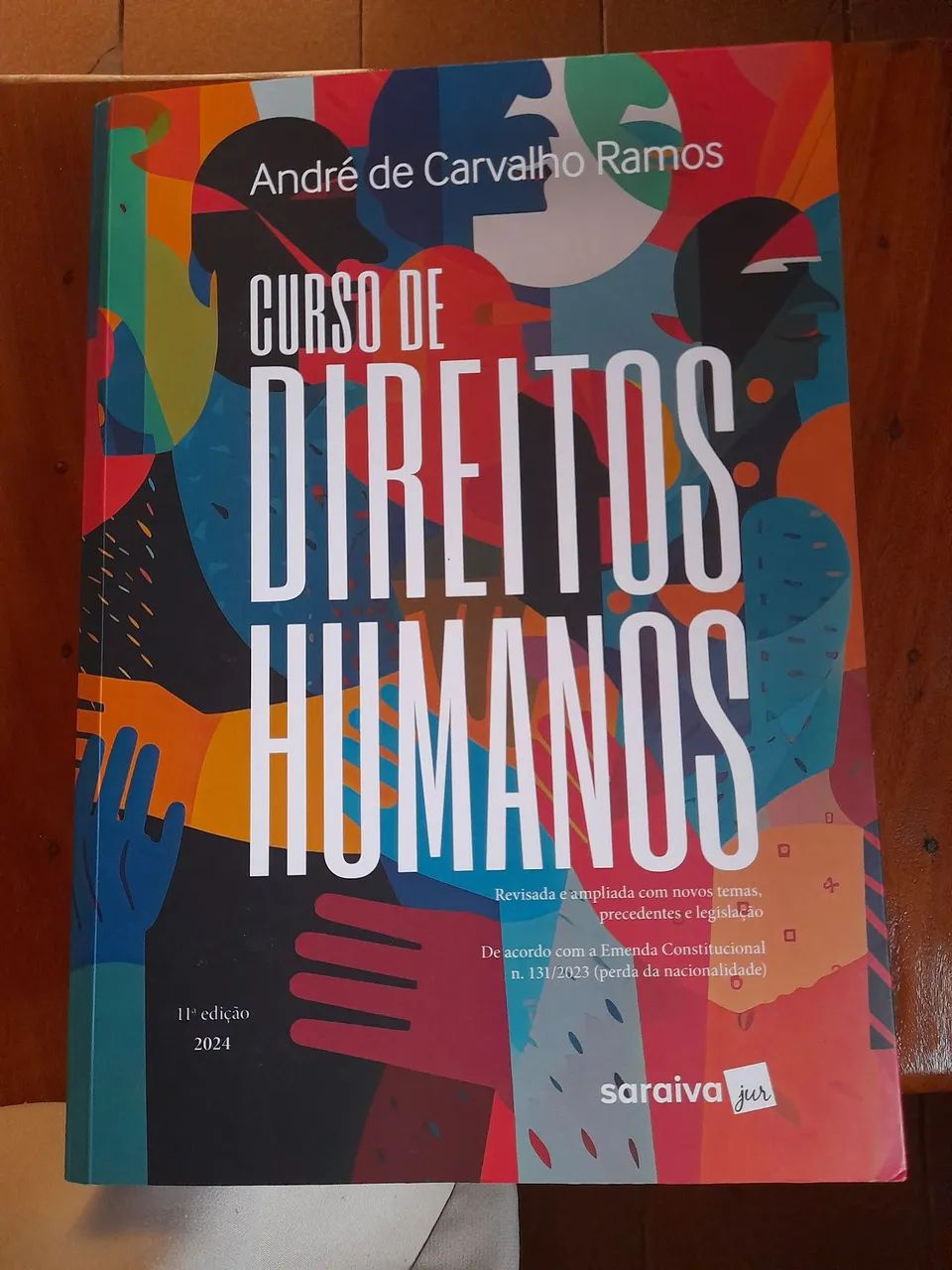 Livro "Curso de Direitos Humanos"
