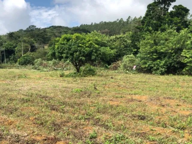 Vendo chácara a partir de 1.000m2 - Foto 5