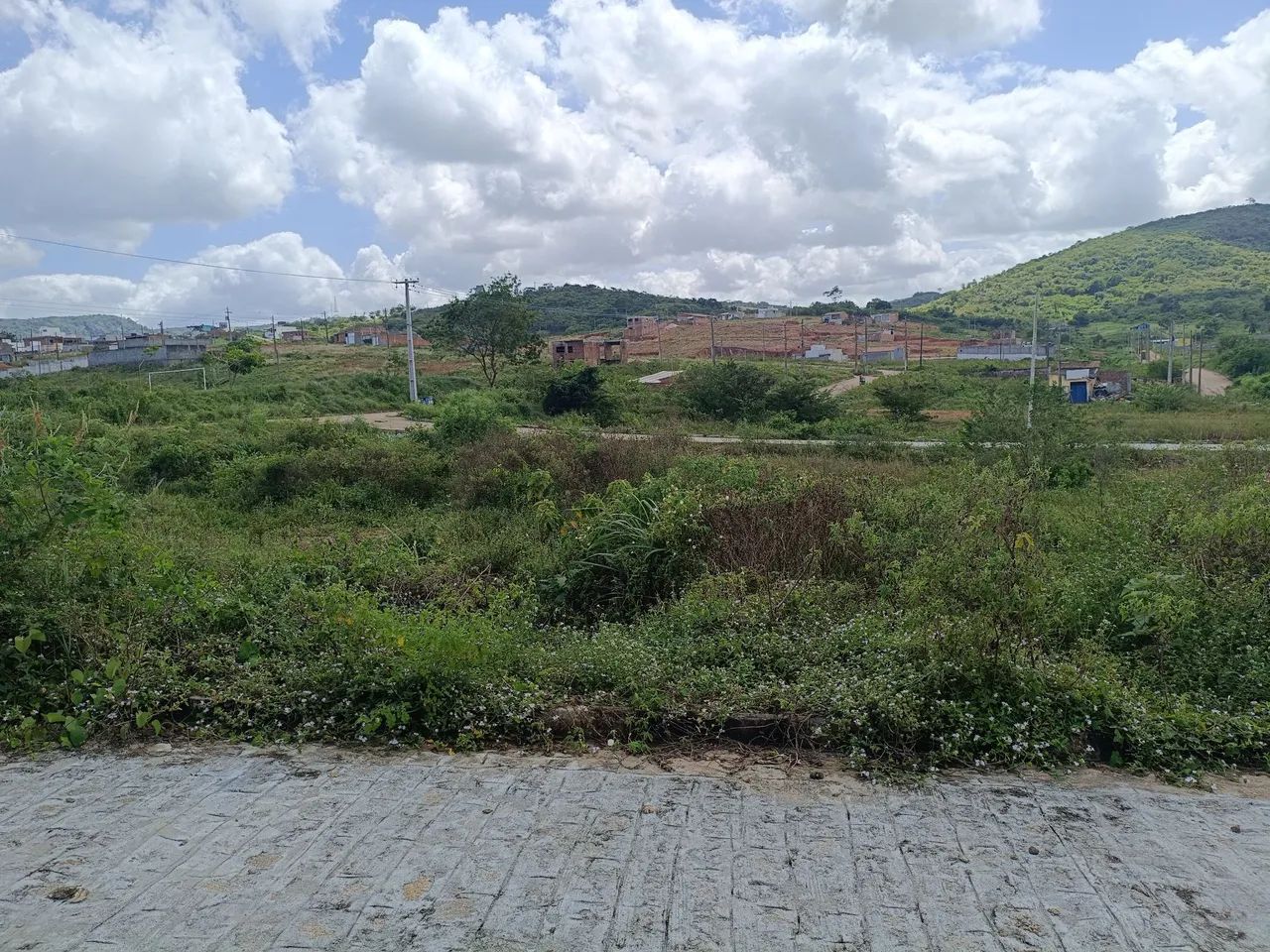 Terreno  - Foto 3