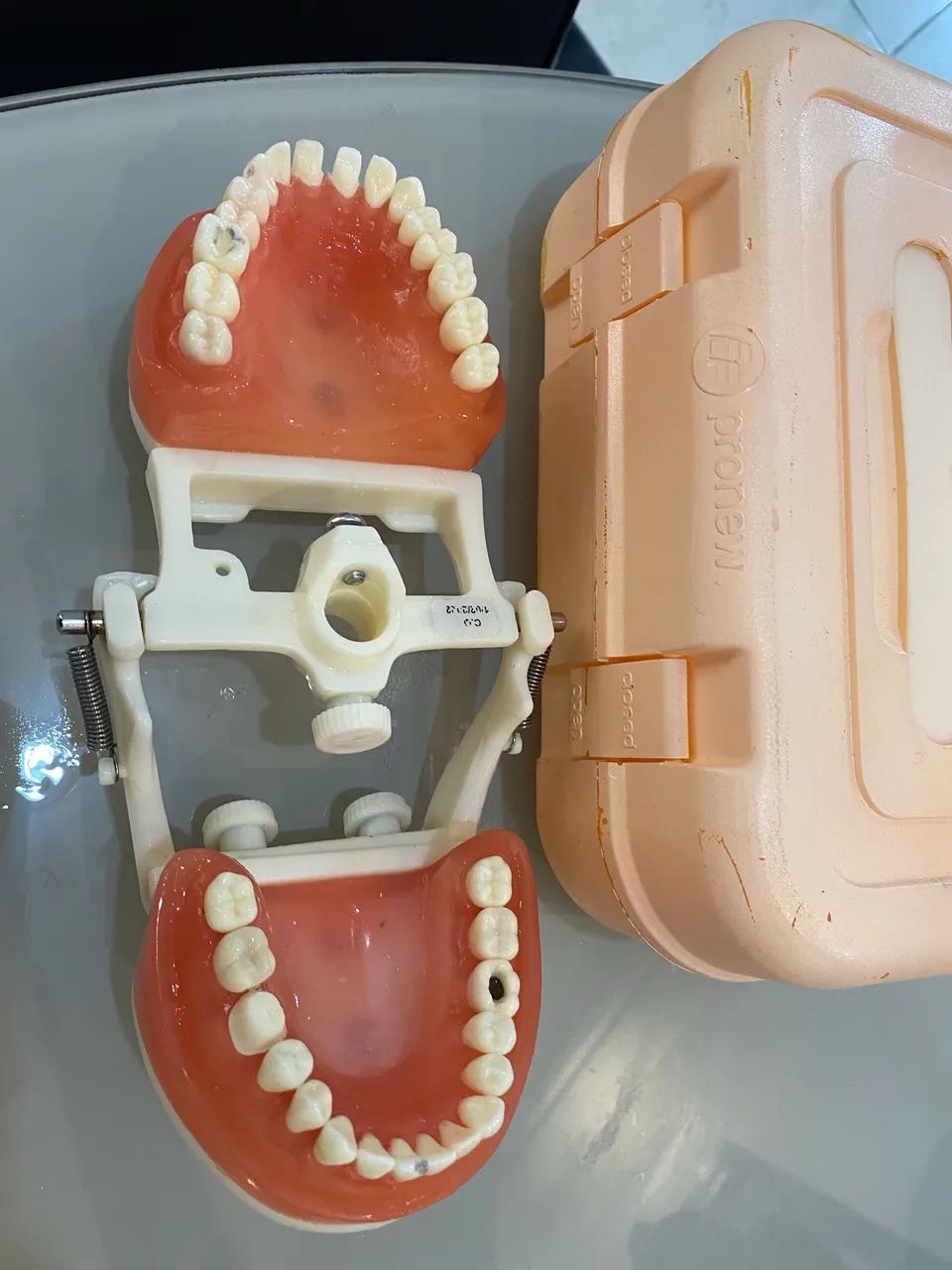 Manequim Dentistica Pronew- ótimo estado  - Foto 2