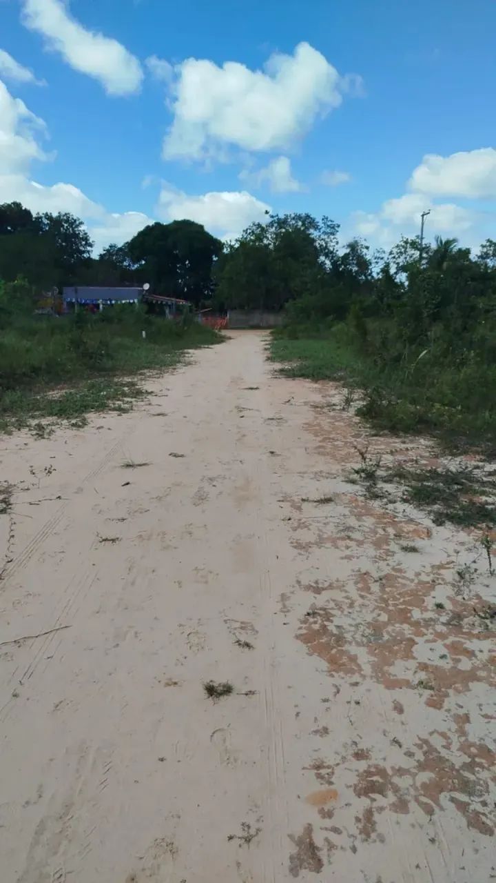 TERRENOS EM ALAGOINHAS/BAHIA - Foto 4