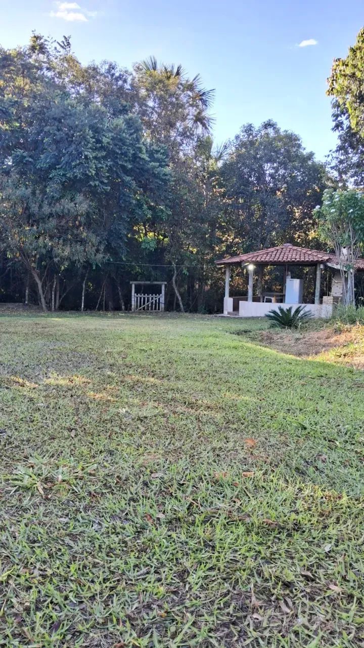 Chácara 20 hectares - com excelente logística