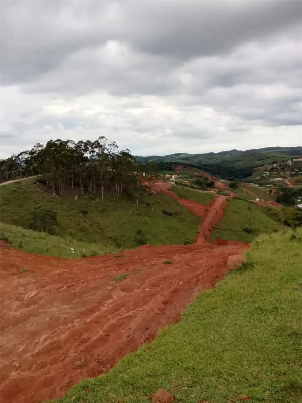 Mais Verde, Mais Paz, Mais Vida - Foto 4