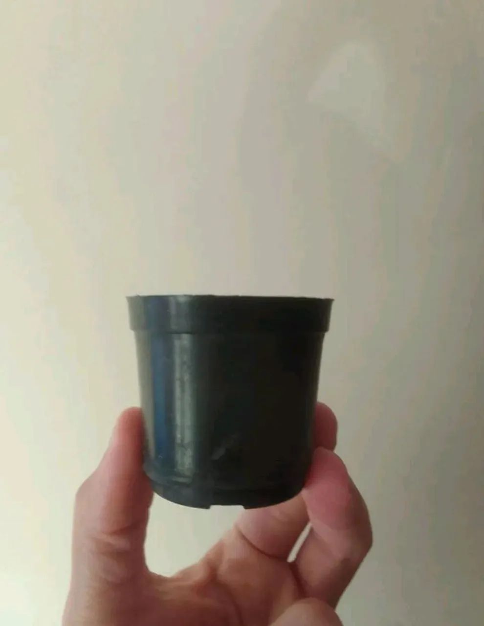 Mini Vasinhos.  - Foto 2