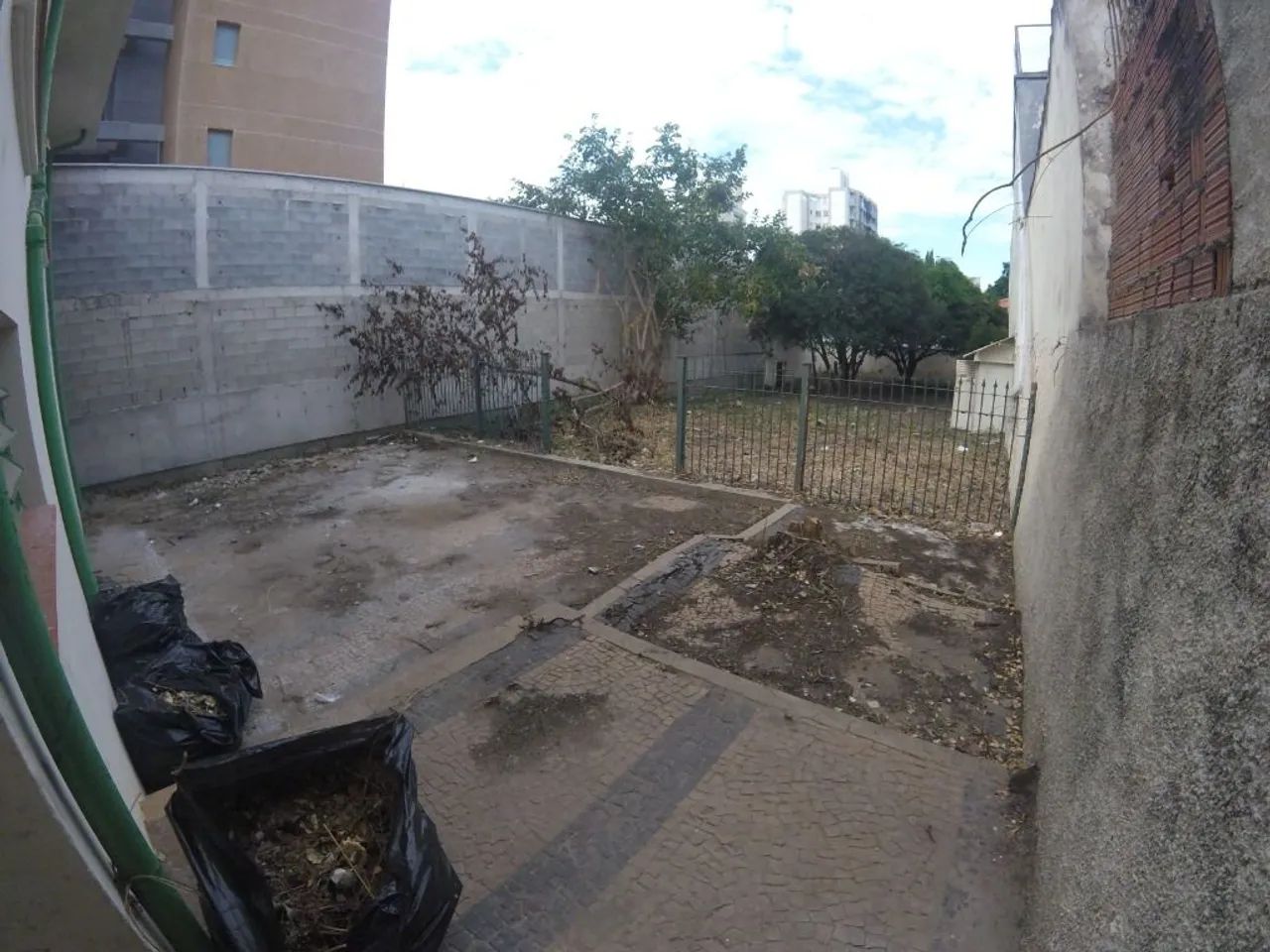 casa - Cambuí - Campinas - Foto 3