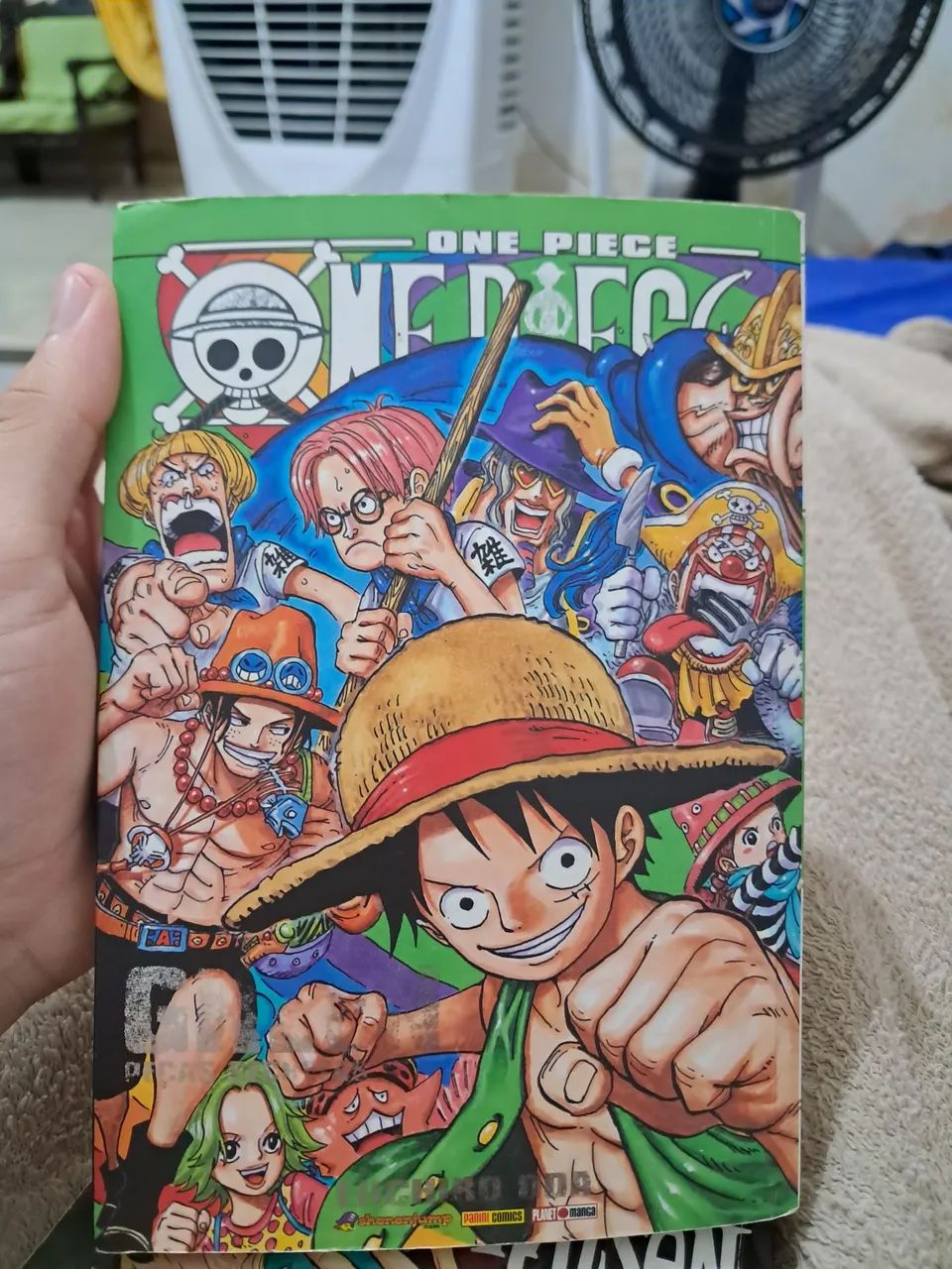 ONE PIECE GREEN SECRET PIECES (Jump Comics) (2010) ISBN
