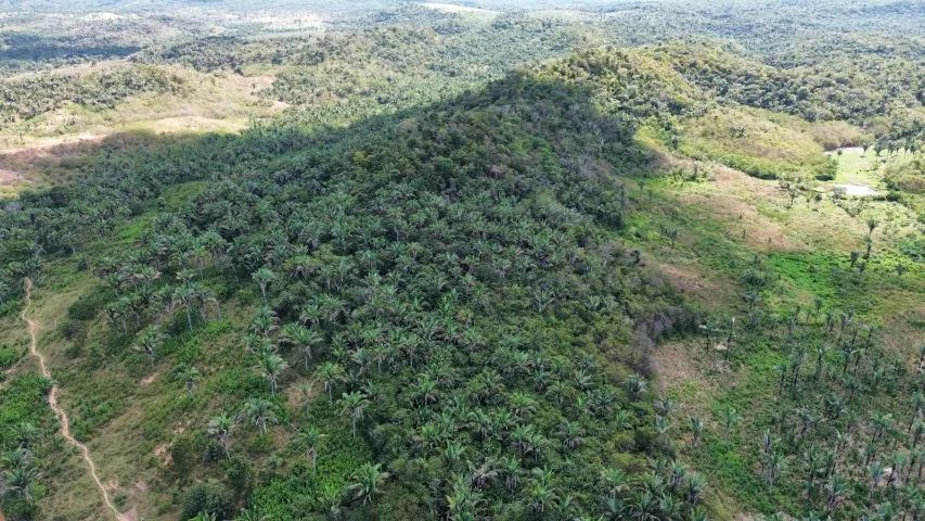 Fazenda 30 ha - Foto 3
