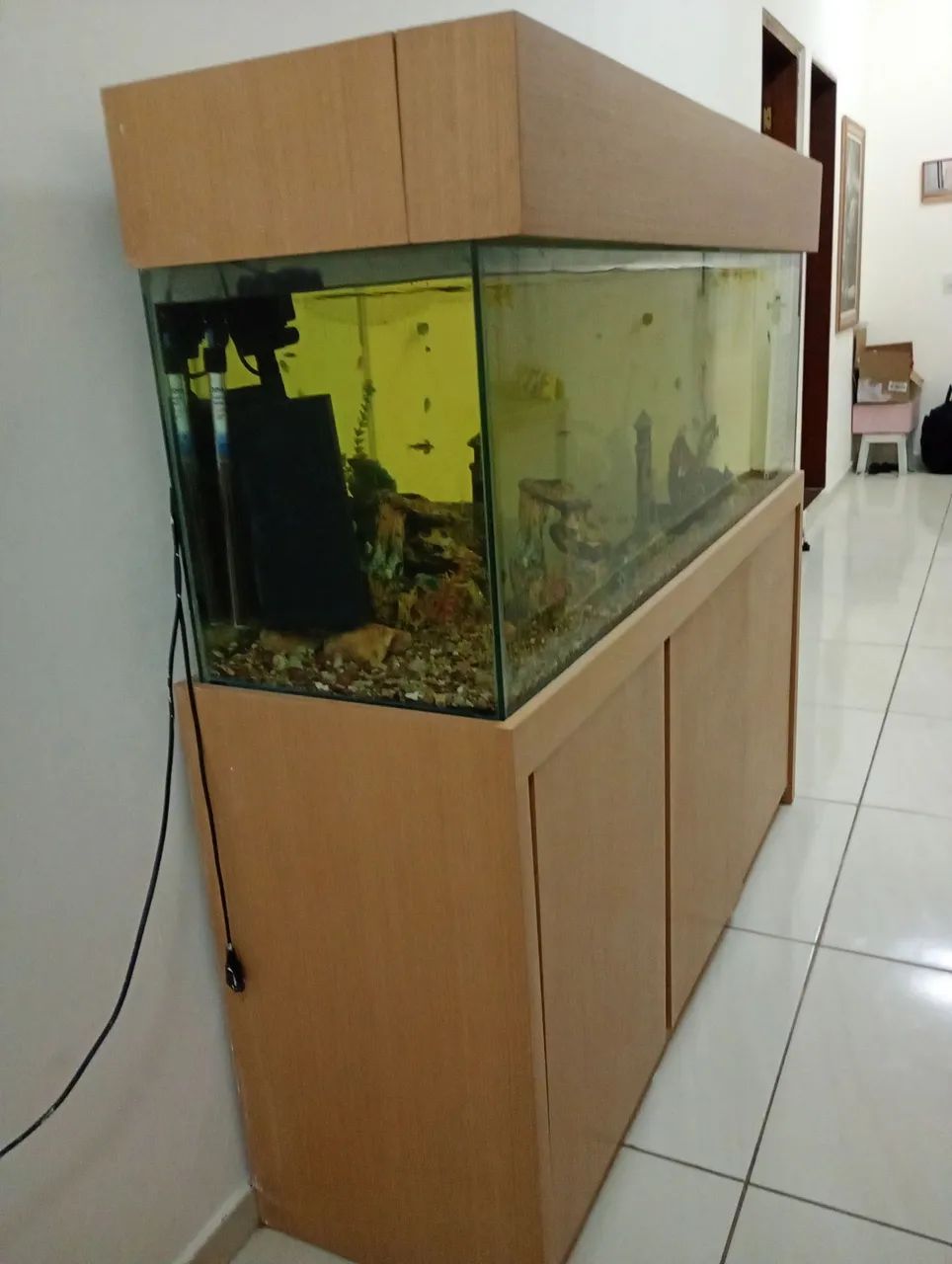 Aquário 360lt - Foto 4