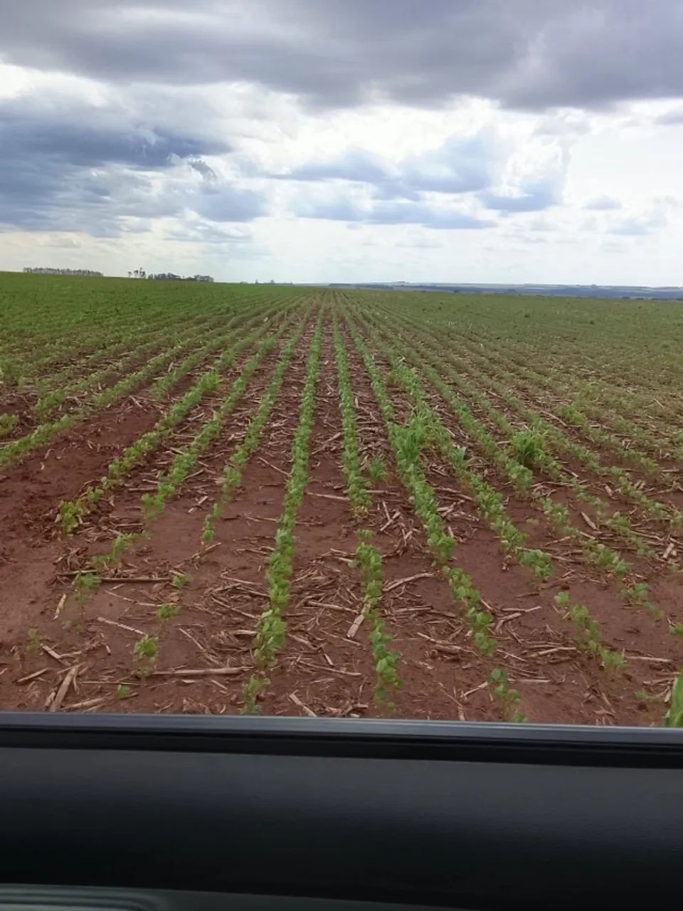 Fazenda em Juti MS - Foto 2