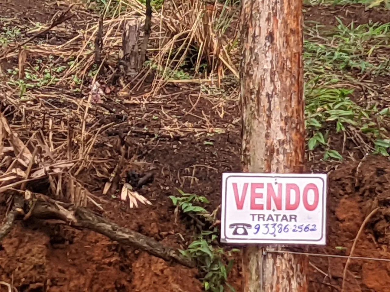 Foto - Igaratá - 