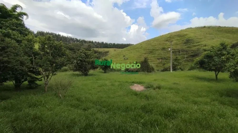 CHÁCARA COM LAGO E RIBEIRÃO NA DIVISA Á VENDA EM LORENA-SP - Foto 4