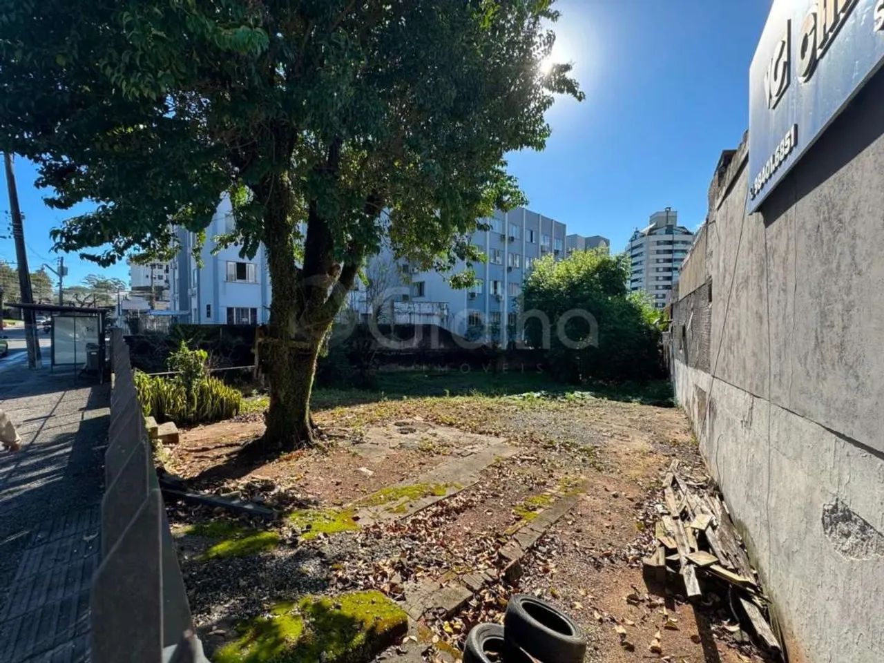 Terreno para Venda em Florianópolis, Trindade - Foto 5