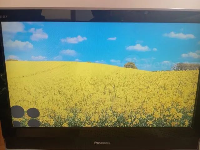 TV Panasonic 32" LCD (Com Detalhe na Tela) - Funcionando Perfeitamente 